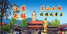 ′欧美操b江苏无锡灵山大佛旅游风景区